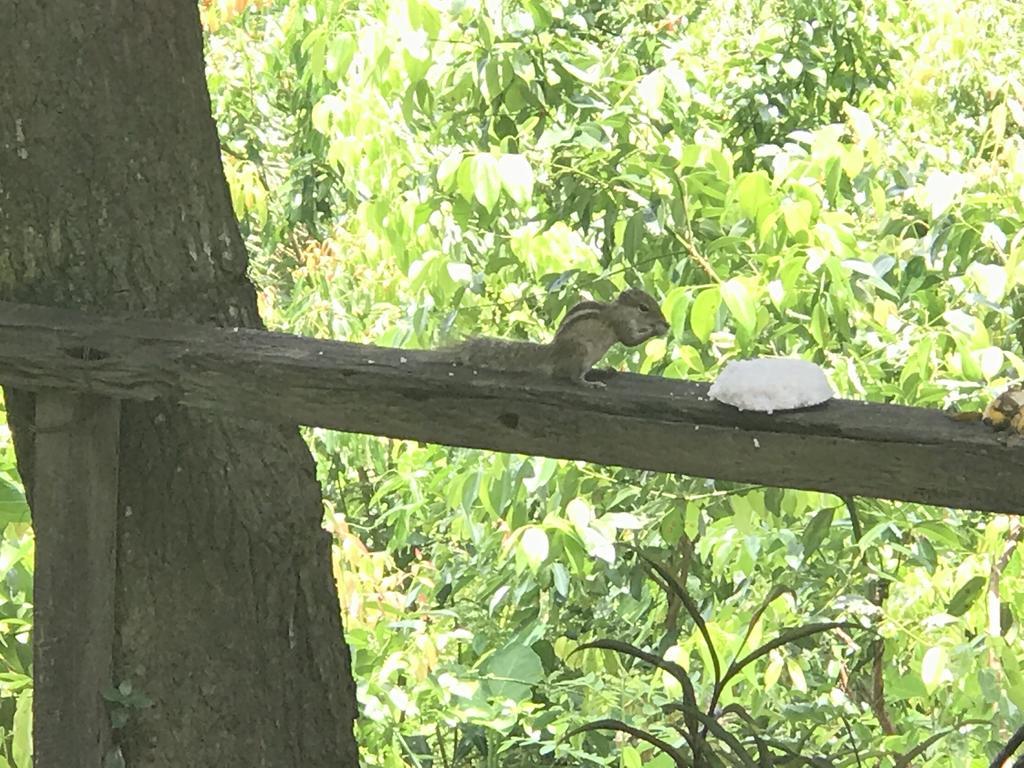 Mount Nature Villa Hikkaduwa Pokoj fotografie