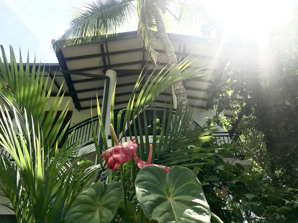 Mount Nature Villa Hikkaduwa Pokoj fotografie
